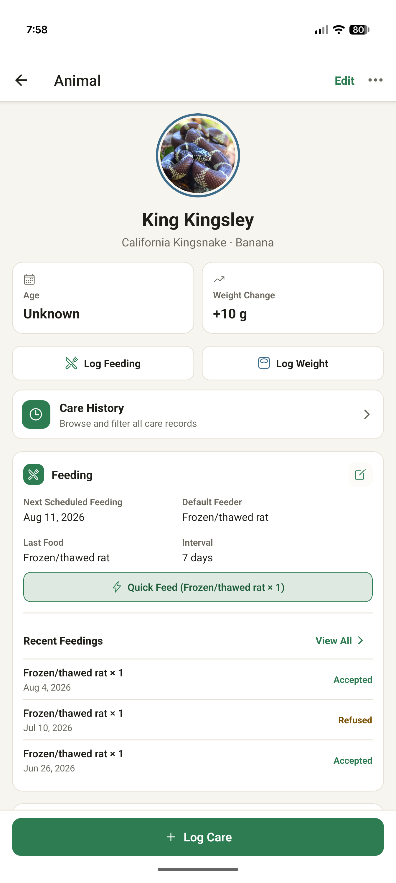Herpository animal overview for King Kingsley, showing care status, recent feedings, and Log Care actions