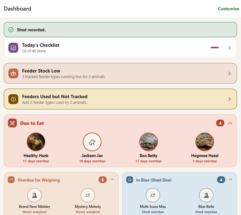 Herpository desktop dashboard showing a checklist, feeder stock notices, feeding reminders, and care alerts
